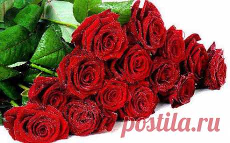 Шикарные розы