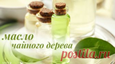 Волшебное масло чайного дерева