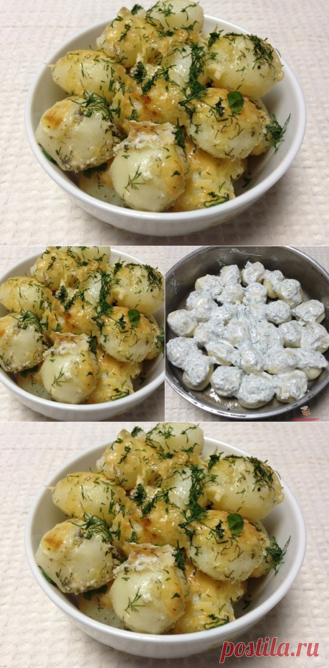 Картофель в сметане в духовке. Вкусно и просто!
