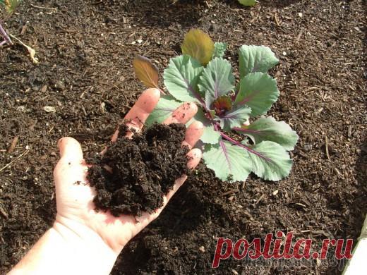 Определение качественных показателей почвы