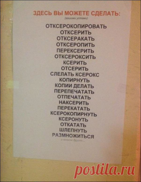 Ради этого стоило достать фотоаппарат из сумки