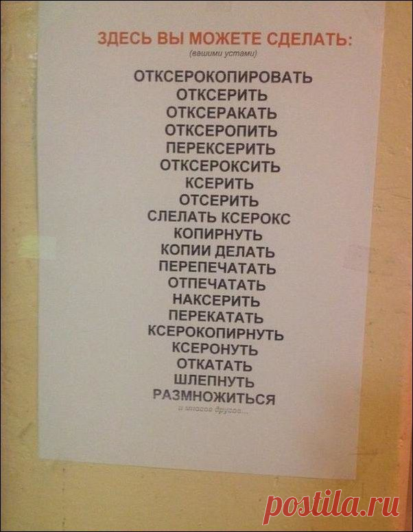 Ради этого стоило достать фотоаппарат из сумки