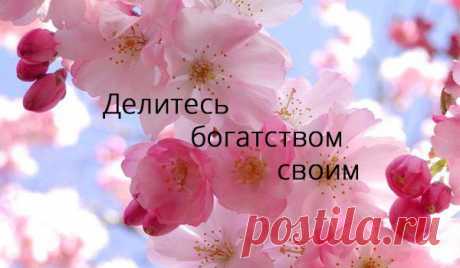 Фотографии на стене сообщества | 7 307 фотографий |