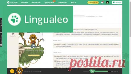 LINGUALEO - урок английского языка - YouTube