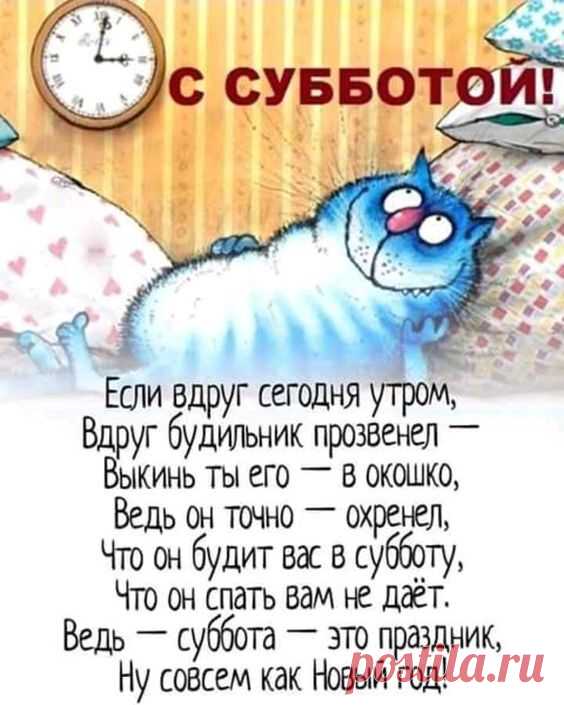 Подборка шуток о жизни женщинах