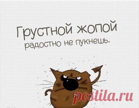 Ирина Птицына | ВКонтакте