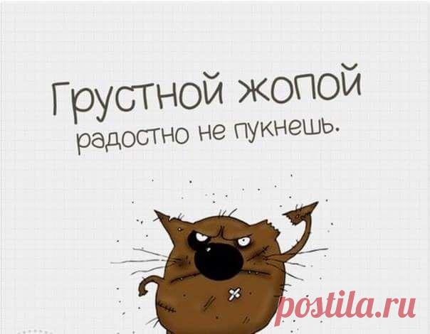 Ирина Птицына | ВКонтакте