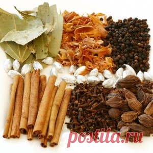 ПУТЕВОДИТЕЛЬ ПО ИНДИЙСКИМ СПЕЦИЯМ (ЧАСТЬ II)