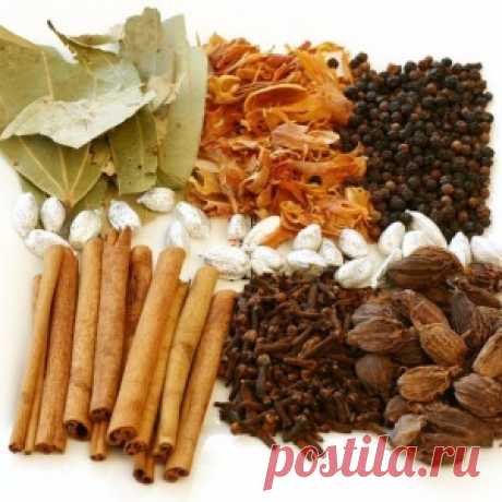 ПУТЕВОДИТЕЛЬ ПО ИНДИЙСКИМ СПЕЦИЯМ (ЧАСТЬ II)