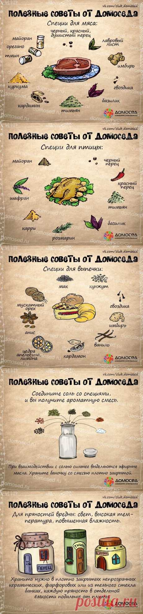 Специи - полезные советы от домоседа