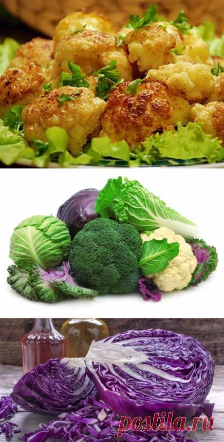 Особенности приготовления разных видов капусты: и вкусно и полезно!