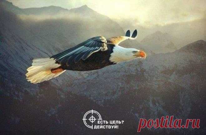 Интересные новости
