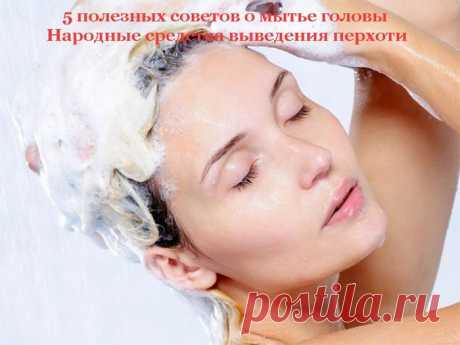 5 полезных советов о мытье головы + Народные средства выведения перхоти