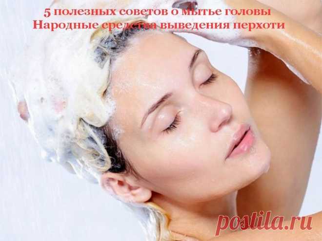 5 полезных советов о мытье головы + Народные средства выведения перхоти