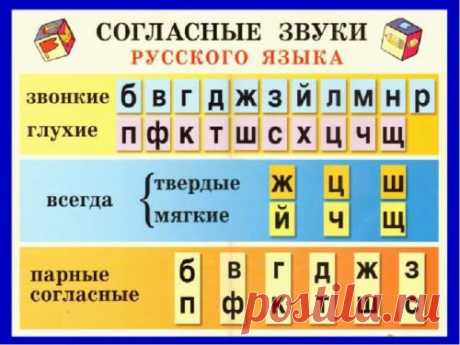 Твердые и мягкие согласные звуки 1 класс: таблица, правило