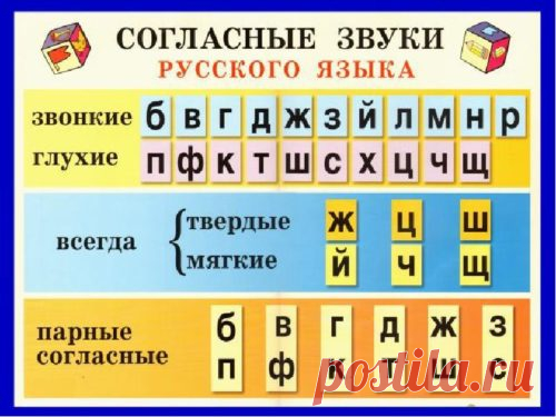 Твердые и мягкие согласные звуки 1 класс: таблица, правило