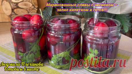 Маринованные сливы с чесноком и зеленью – залил кипятком и готово 👍. Отличный рецепт закуски к мясу или рыбе. Заготовки на зиму | Людмила Плеханова Готовим вместе. Еда | Дзен