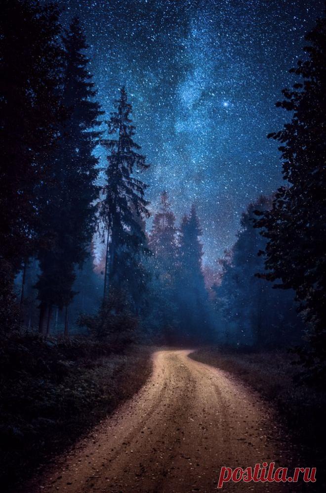 — amarvelousuniverse: “Winding road” by Hendrik...