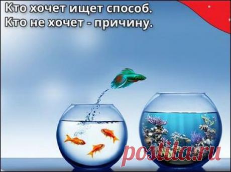 Человек, у которого есть цель найдет 1000 способов для её достижения, а тот у кого ее нет - найдет 1000 отговорок и причин ничего не делать. Движение жизнь, двигаемся вместе.