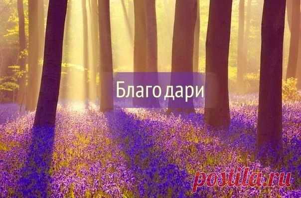 Спасибо, Господи, за каждый новый день,
За то, что в сердце круглый год цветёт сирень…
За то, что рядом настоящие друзья,
За то, что «МЫ» – в стократ важней, чем просто «Я»…
Спасибо, Господи, что крылья мне латал