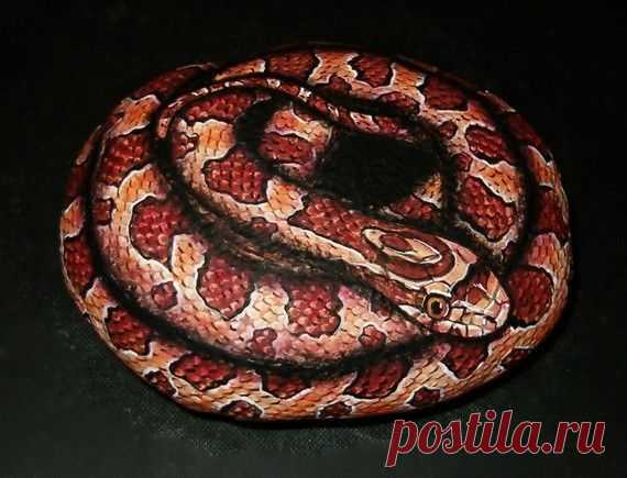 Hand Painted Rock Art - Corn Snake