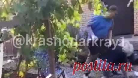 В Краснодаре председатель СНТ подрался с женщиной из-за отключения электричества. В Краснодаре председатель СНТ подрался с женщиной из-за отключения электроэнергии. Инцидент попал на видео, которое опубликовал Telegram-канал &quot;Краснодар и край&quot;. По данным канала, все случилось в СНТ &quot;Животновод&quot;. ...