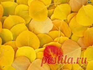 Обои с тегом Желтый. Лучше фото, картинки и заставки на рабочий стол