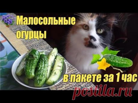 Хрустящие малосольные огурцы в пакете за 1 час. Быстрый и вкусный рецепт