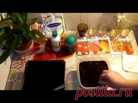 Посев Томатов/ Пошагово/Что важно сделать