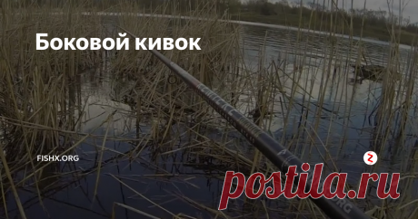 Боковой кивок Изучаем боковой кивок, на примере ловли карася.