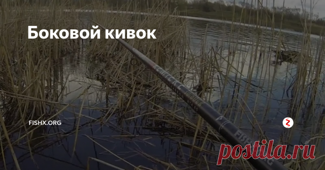 Боковой кивок Изучаем боковой кивок, на примере ловли карася.