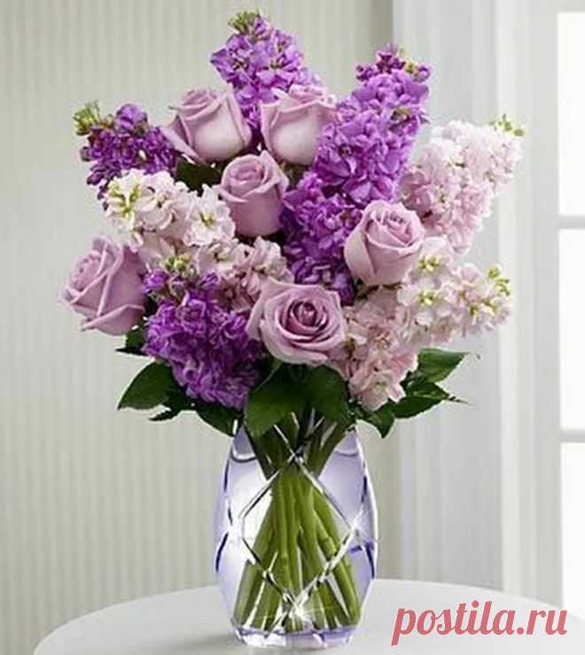 SHOUT it from the house - Google+