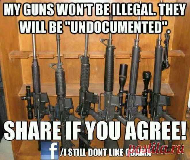 GUNS ... | Weapons & 2nd Amendment stuff