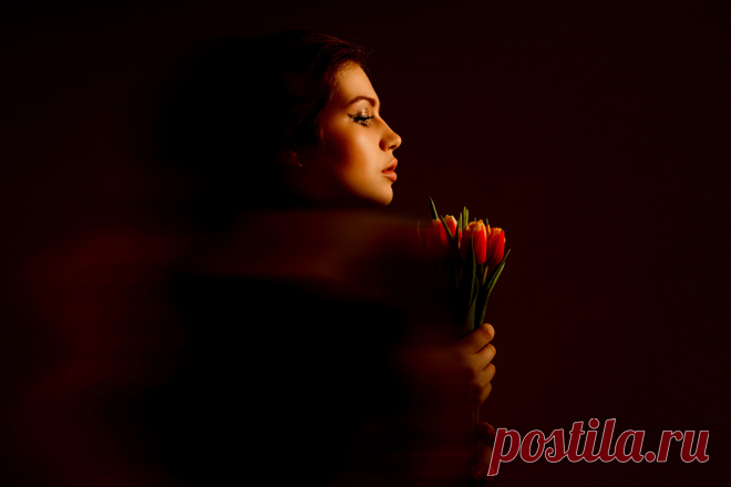 March_8_Tulips_515768_1280x853.jpg (1280×853)