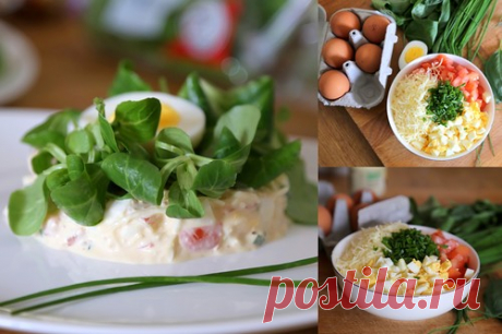 САЛАТ С ЯЙЦАМИ, СЫРОМ И ТОМАТАМИ