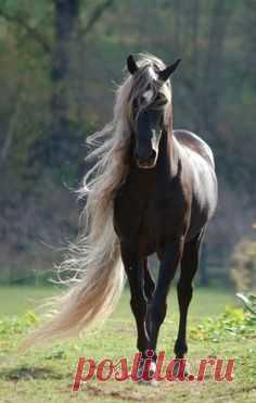 (2) Pinterest