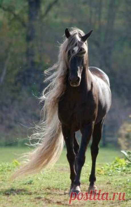 (2) Pinterest