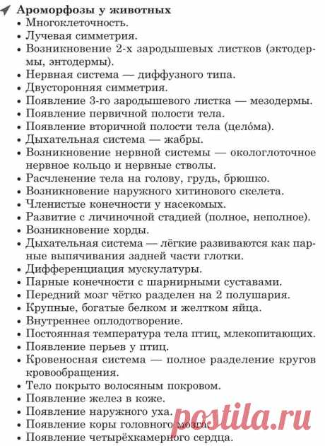 mZkRZqOmfvU.jpg (787×1080)