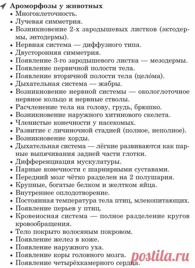 mZkRZqOmfvU.jpg (787×1080)