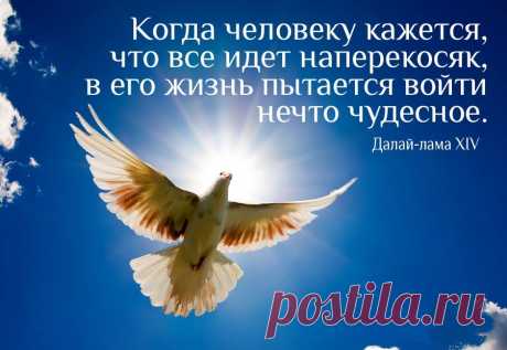 Цитаты Далай Ламы - источник мудрости и доброты