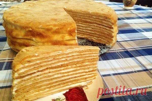 Медовик сказочный — Сад Заготовка