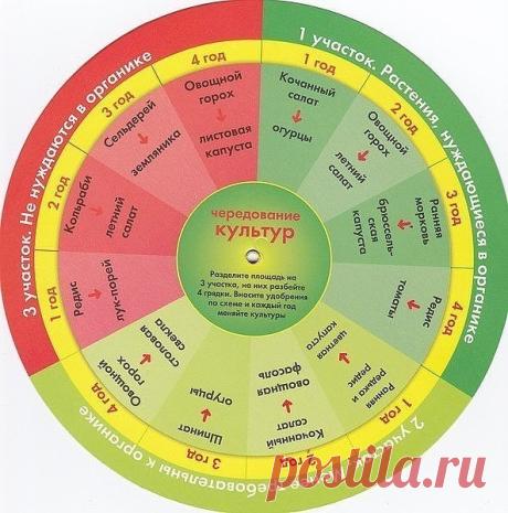 Чередуем овощи на грядках 
 
Чередование овощных культур снижает процесс накопления в земле вредителей и вирусных болезней. Соответственно снижает риск поражения посаженных растений. Научно обоснованная последовательность смены посева культур с целью повышения урожайности называется севооборотом. Этот метод позволяет значительно снизить поражение вирусными болезнями, вредителями, улучшить плодородие земли, способствует рациональному использованию растениями минерально-орга...