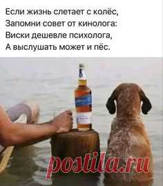 вместо тысячи слов