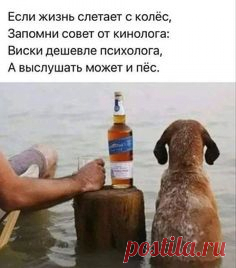вместо тысячи слов