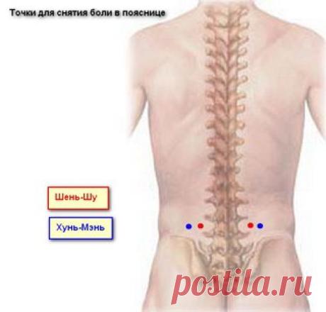 Профилактика и лечение остеохондроза.