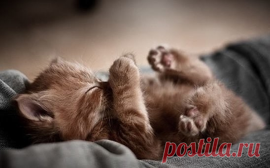 Ночью никак не можешь лечь поудобней, а утром, блин, как ни ляжешь — УДОБНО…