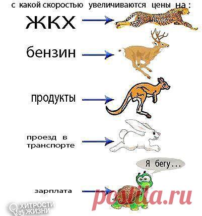 С какой скоростью растут цены
