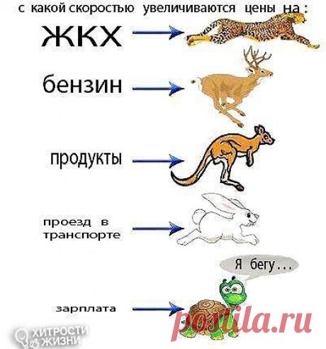 С какой скоростью растут цены