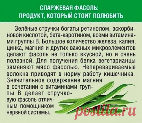 Спаржевая фасоль: продукт который стоит полюбить