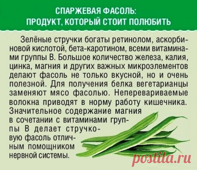 Спаржевая фасоль: продукт который стоит полюбить
